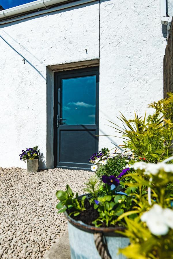 The Milking Shed At Pencraig Villa Holyhead Exterior photo